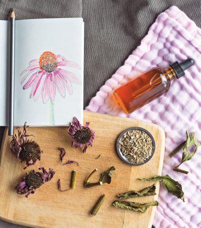 Echinacea flowers and ingredients for an Echinacea tincture