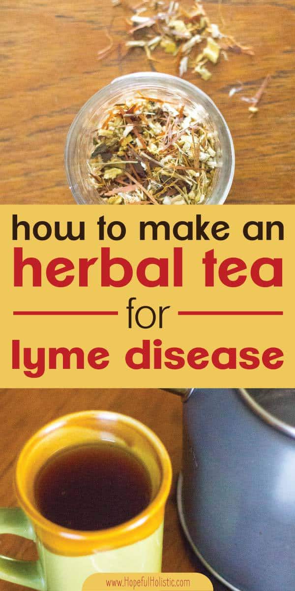 10 Extraordinary Herbs For Lyme Disease